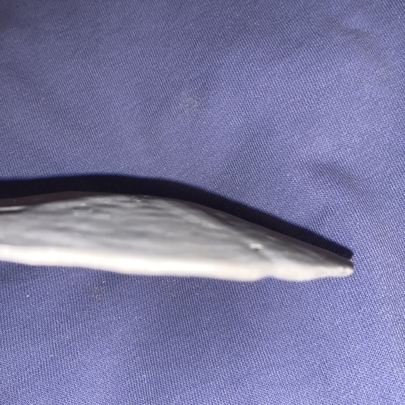 Flat sea urchin or sand dollar #4. - Picture 7 of 8